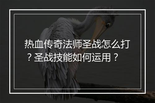 热血传奇法师圣战怎么打？圣战技能如何运用？