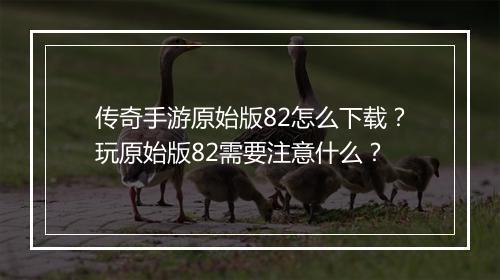 传奇手游原始版82怎么下载？玩原始版82需要注意什么？