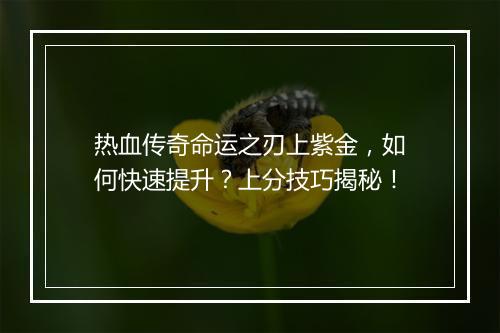 热血传奇命运之刃上紫金，如何快速提升？上分技巧揭秘！