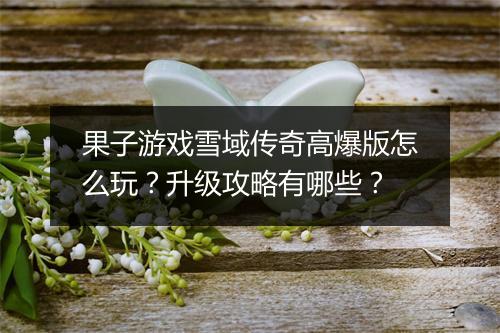 果子游戏雪域传奇高爆版怎么玩？升级攻略有哪些？