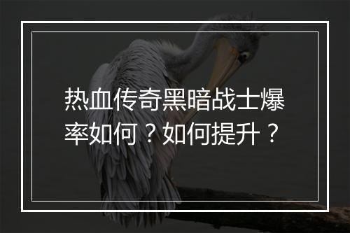 热血传奇黑暗战士爆率如何？如何提升？