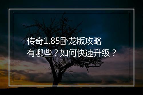 传奇1.85卧龙版攻略有哪些？如何快速升级？