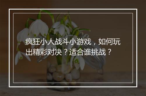 疯狂小人战斗小游戏，如何玩出精彩对决？适合谁挑战？