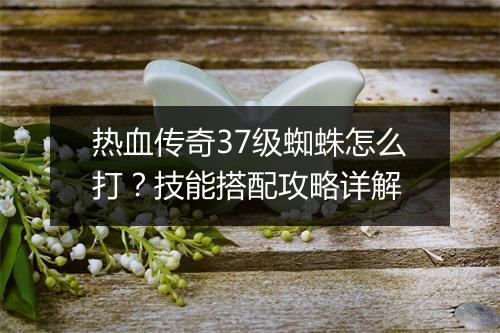 热血传奇37级蜘蛛怎么打？技能搭配攻略详解