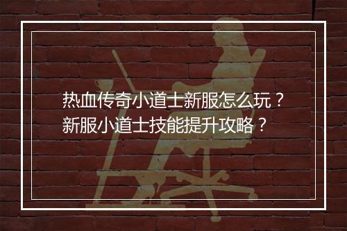 热血传奇小道士新服怎么玩？新服小道士技能提升攻略？