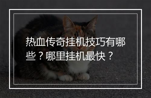 热血传奇挂机技巧有哪些？哪里挂机最快？