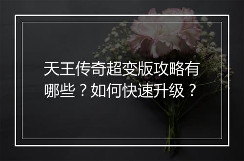 天王传奇超变版攻略有哪些？如何快速升级？