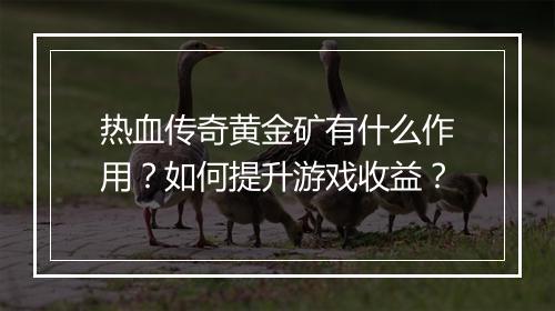 热血传奇黄金矿有什么作用？如何提升游戏收益？