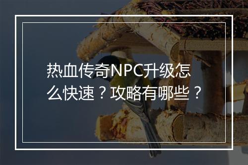 热血传奇NPC升级怎么快速？攻略有哪些？