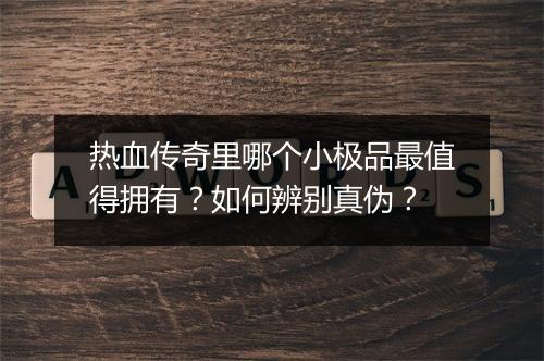 热血传奇里哪个小极品最值得拥有？如何辨别真伪？