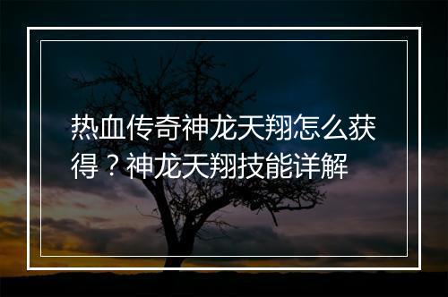 热血传奇神龙天翔怎么获得？神龙天翔技能详解
