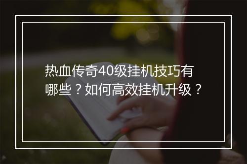 热血传奇40级挂机技巧有哪些？如何高效挂机升级？