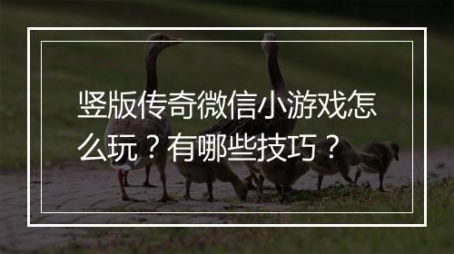竖版传奇微信小游戏怎么玩？有哪些技巧？