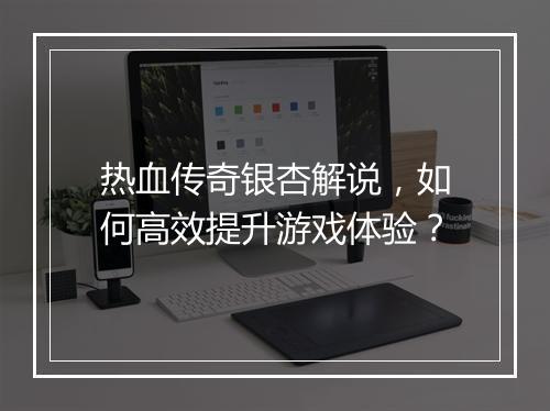 热血传奇银杏解说，如何高效提升游戏体验？