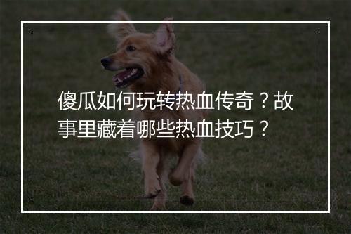 傻瓜如何玩转热血传奇？故事里藏着哪些热血技巧？