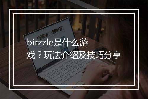 birzzle是什么游戏？玩法介绍及技巧分享