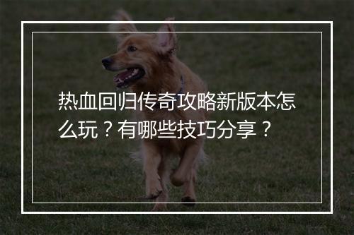 热血回归传奇攻略新版本怎么玩？有哪些技巧分享？