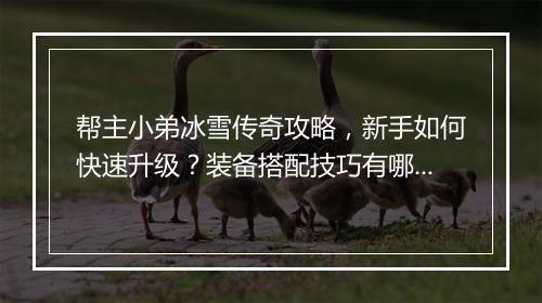 帮主小弟冰雪传奇攻略，新手如何快速升级？装备搭配技巧有哪些？