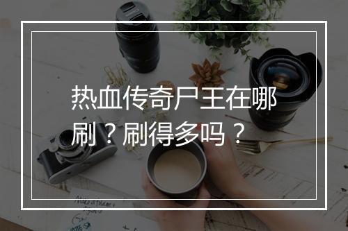热血传奇尸王在哪刷？刷得多吗？