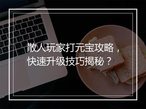 散人玩家打元宝攻略，快速升级技巧揭秘？
