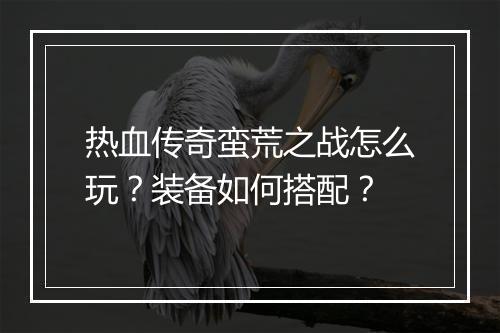 热血传奇蛮荒之战怎么玩？装备如何搭配？