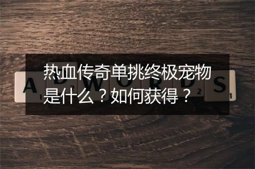 热血传奇单挑终极宠物是什么？如何获得？