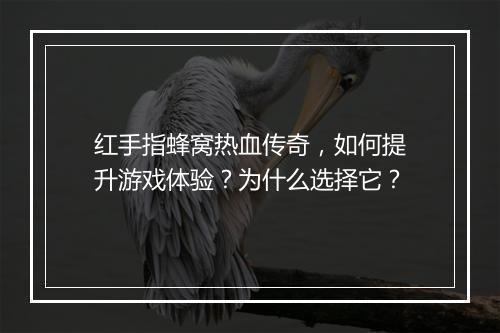 红手指蜂窝热血传奇，如何提升游戏体验？为什么选择它？