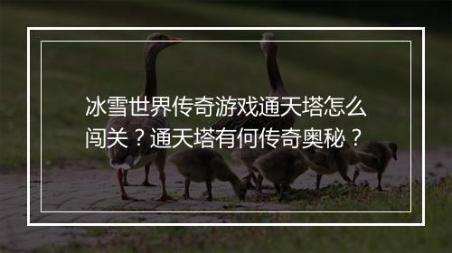 冰雪世界传奇游戏通天塔怎么闯关？通天塔有何传奇奥秘？