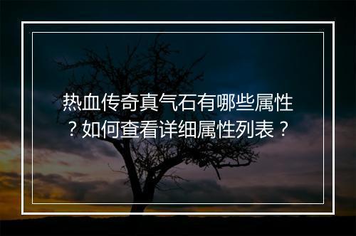 热血传奇真气石有哪些属性？如何查看详细属性列表？