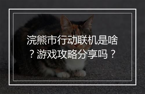 浣熊市行动联机是啥？游戏攻略分享吗？