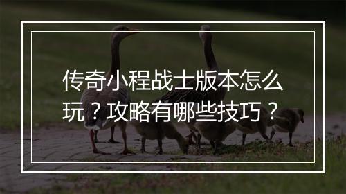 传奇小程战士版本怎么玩？攻略有哪些技巧？