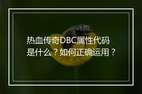 热血传奇DBC属性代码是什么？如何正确运用？
