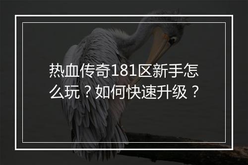 热血传奇181区新手怎么玩？如何快速升级？