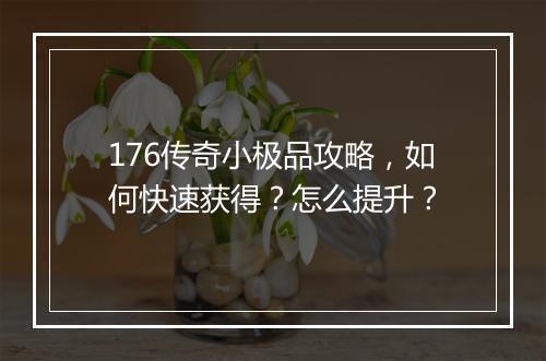 176传奇小极品攻略，如何快速获得？怎么提升？
