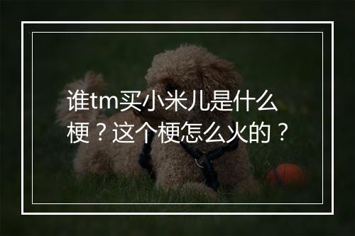 谁tm买小米儿是什么梗？这个梗怎么火的？