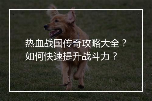 热血战国传奇攻略大全？如何快速提升战斗力？