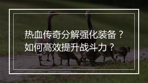 热血传奇分解强化装备？如何高效提升战斗力？