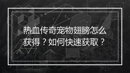 热血传奇宠物翅膀怎么获得？如何快速获取？
