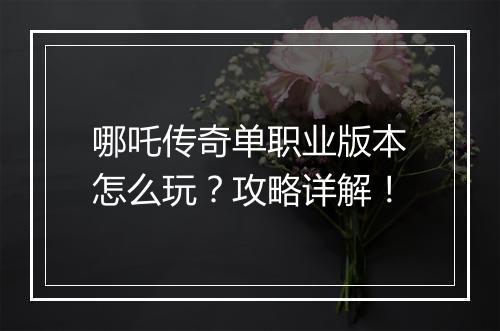 哪吒传奇单职业版本怎么玩？攻略详解！