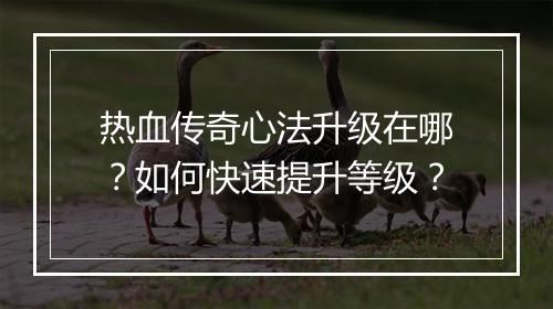 热血传奇心法升级在哪？如何快速提升等级？