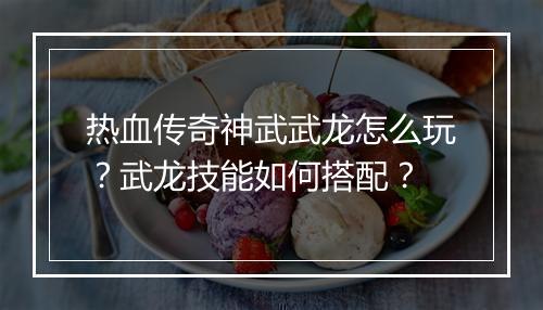 热血传奇神武武龙怎么玩？武龙技能如何搭配？