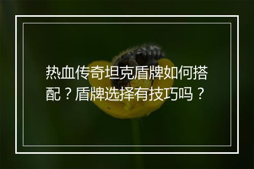 热血传奇坦克盾牌如何搭配？盾牌选择有技巧吗？