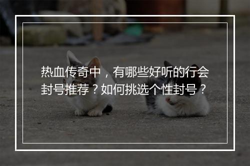 热血传奇中，有哪些好听的行会封号推荐？如何挑选个性封号？