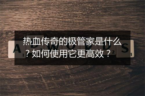 热血传奇的极管家是什么？如何使用它更高效？