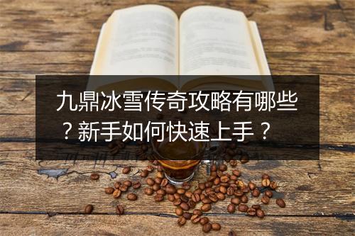 九鼎冰雪传奇攻略有哪些？新手如何快速上手？
