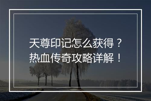天尊印记怎么获得？热血传奇攻略详解！