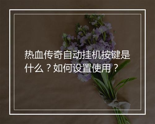 热血传奇自动挂机按键是什么？如何设置使用？