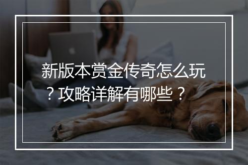 新版本赏金传奇怎么玩？攻略详解有哪些？