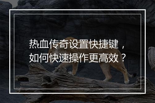 热血传奇设置快捷键，如何快速操作更高效？