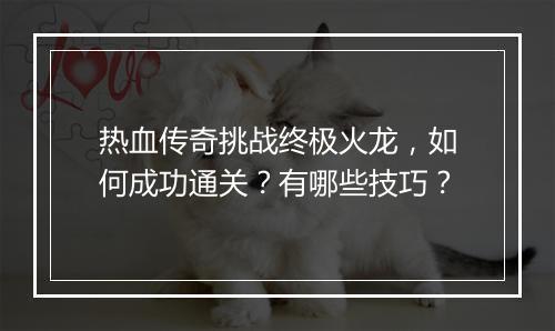 热血传奇挑战终极火龙，如何成功通关？有哪些技巧？